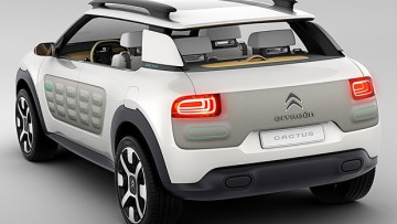 Citroën-Studie: Sommer, Sonne, Cactus