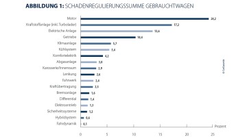 CarGarantie Schadenanalyse 2025