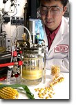 BP und Du Pont wollen Biokraftstoffe weiterentwickeln Biokraftstoff Forscher