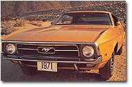 mustang.2
