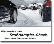 Werbung für Stoßdämpfercheck bei Winterreifen-Montage ZF Trading Werbemittel