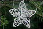 weihnachtsstern_klein