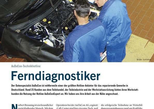 Ferndiagnostiker