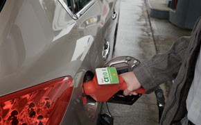 Cellulosic Ethanol 10