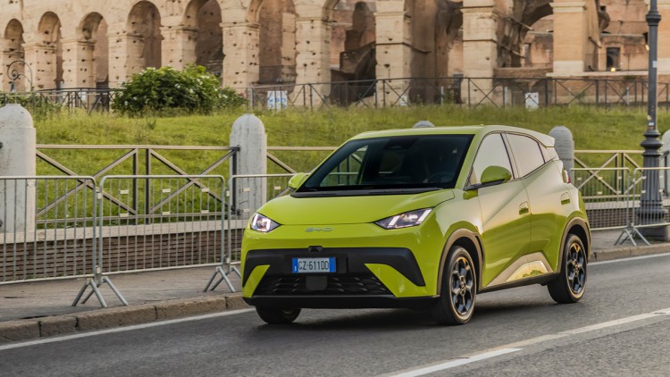 BYD Dolphin Surf (2025)