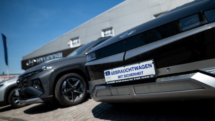 Gebraucht_E_Auto_Ioniq_Fabian_Strauch_dpa_HD