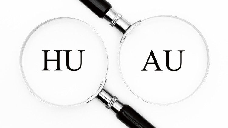Hauptuntersuchung