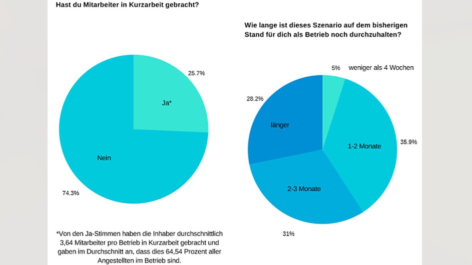 FabuCar-Umfrage Chart 3