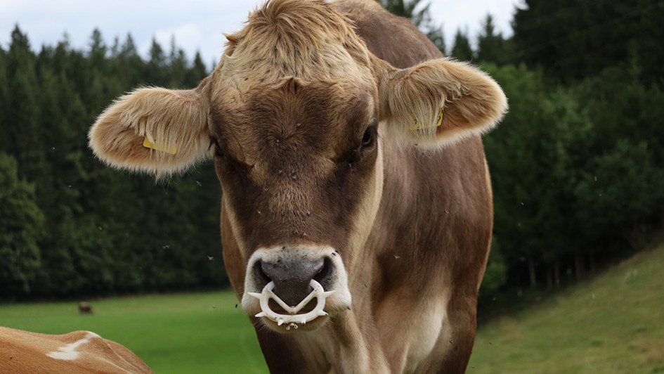 22. AUTOHAUS Motorradtour