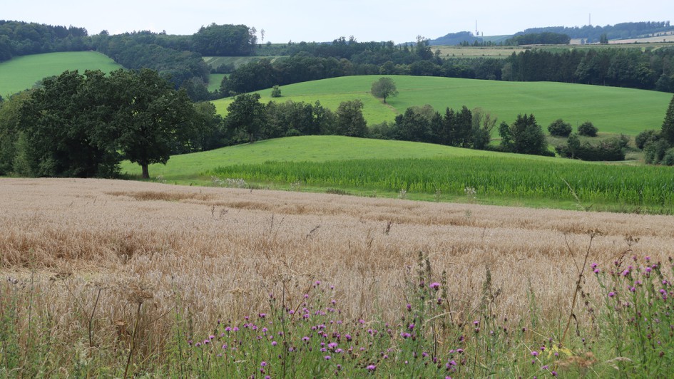 AUTOHAUS Motorradtour 2024