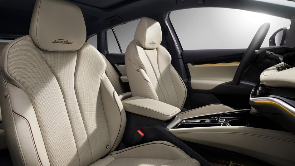 Skoda Enyaq / Enyaq Coupe 2024